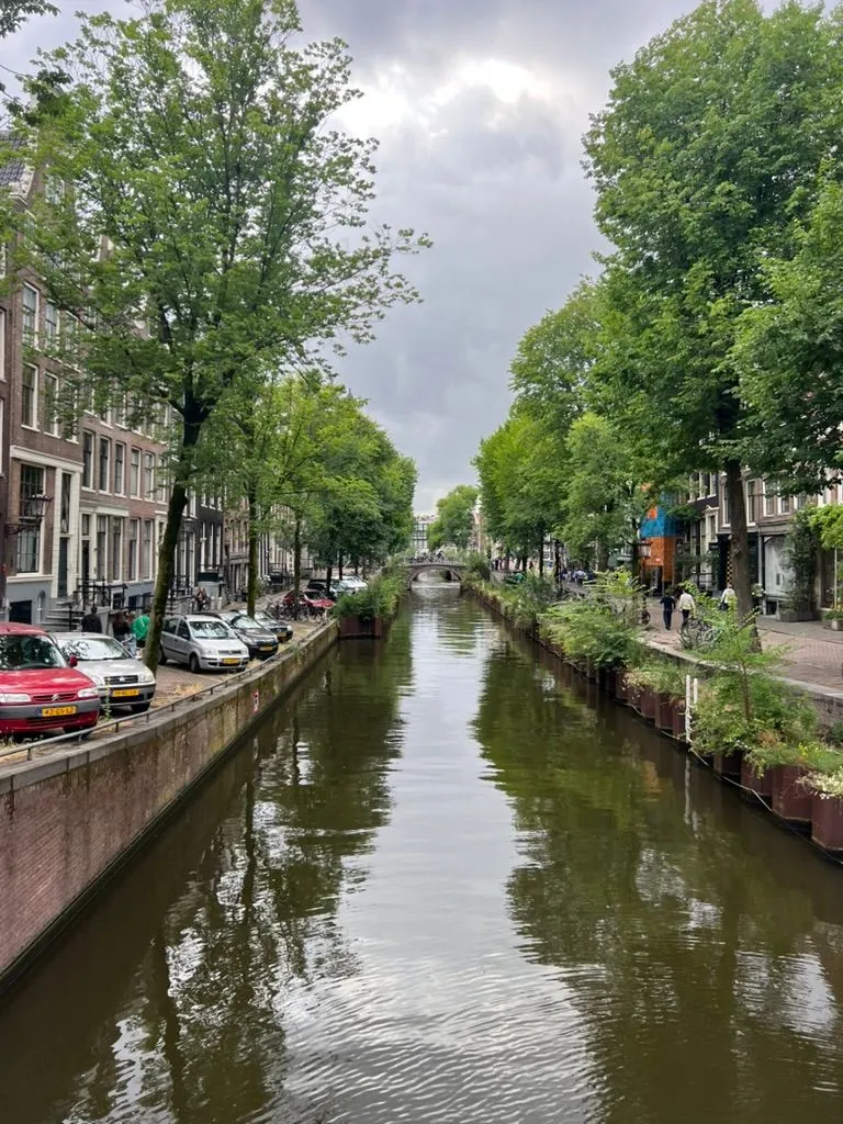 A narrow tree-lined canal under grey cloud, brick canal houses and parked cars on one bank, a small bridge ahead