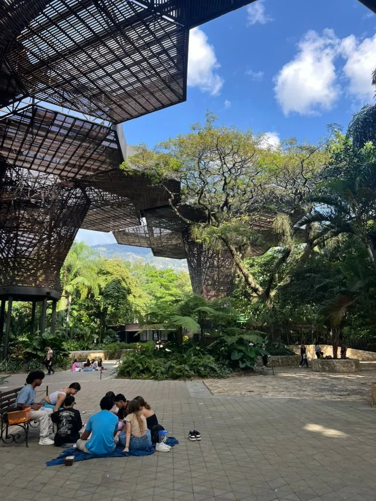 Young people sitting on a blanket on a stone plaza beneath giant hexagonal wooden lattice canopies and tropical trees